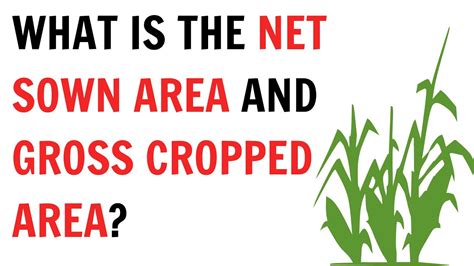 What is the net sown area and gross cropped area ? || QnA Explained ...