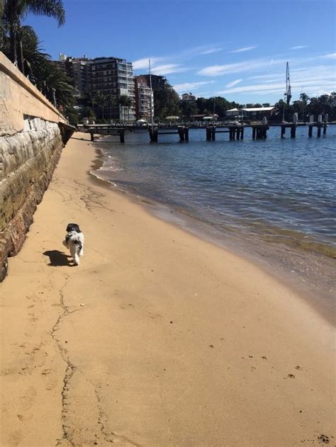 ELIZABETH BAY'S HIDDEN BEACH | Richardson & Wrench Elizabeth Bay/Potts Point