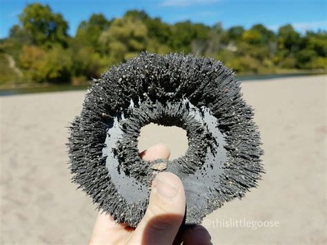 Magic Magnetic Sand! | Magnetic sand, Sand art projects, Magnets