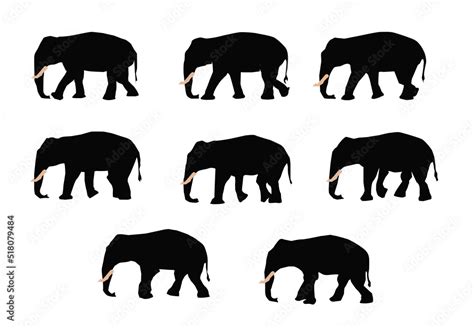 Image sequence for elephant walk cycle, for animation. Stock Illustration | Adobe Stock