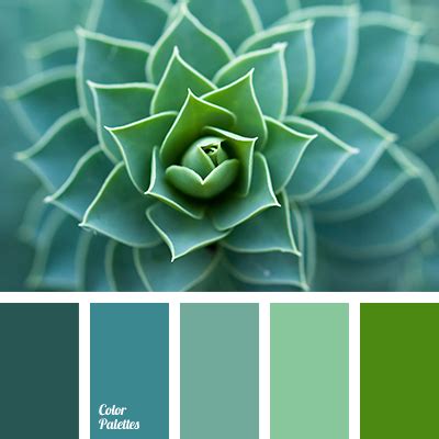 color of aloe | Color Palette Ideas