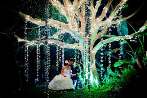 Wedding photography - night. Twinkle lights in tree - Japanese Origami ...