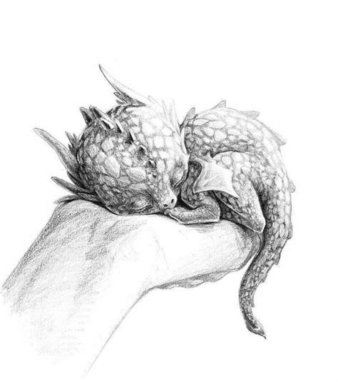 Baby dragon | Fantasy in 2019 | Dragon sketch, Baby dragon, Dragon art