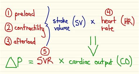 Oxygen Delivery Equation | RK.md