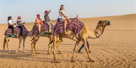 Camel Riding in Dubai: First Timer’s Guide - Things To Do In Dubai