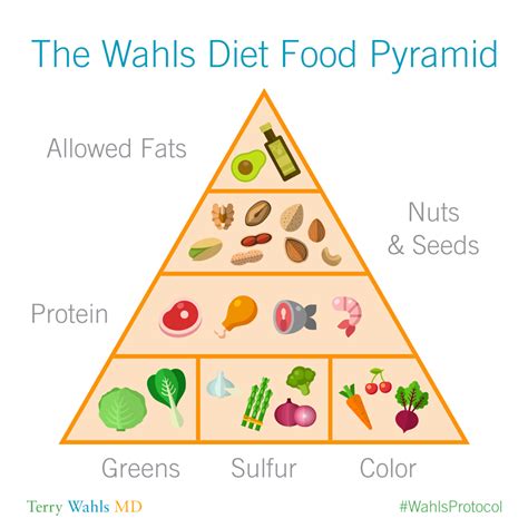 Terry Wahls Diet Cheat Sheet ~ Cheat Sheet