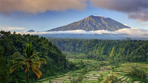 Montañas y palmas en Bali Fondo de pantalla 5k HD ID:3824