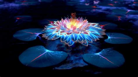 Black Lotus Wallpapers - Top Free Black Lotus Backgrounds - WallpaperAccess