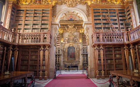 These Portuguese Libraries Are Infested With Bats — and They Like It ...