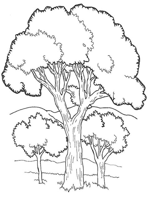 Trees coloring pages. Download and print trees coloring pages