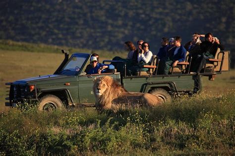 Tripadvisor | 2 Tage Safari Erfahrung von Kapstadt zur Verfügung gestellt von BokBus Garden ...