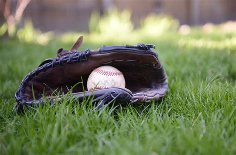 Types of Baseball Gloves: 5 Positional Based Glove Selections ...