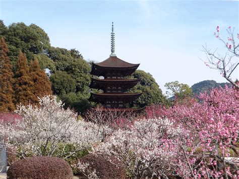 【香山公園／うめ】アクセス・営業時間・料金情報 - じゃらんnet