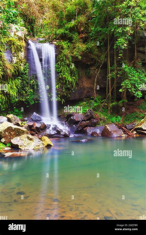 Scenic Tamborine waterfall on Mt Tamborine in Queensland rainforest of ...