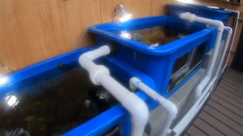 DIY Aquaponics System Design - YouTube