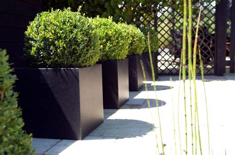 Large Planters Black - Garden Plant