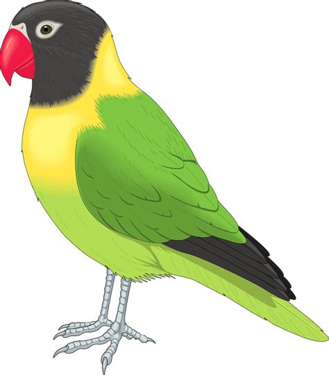 clipart bird png 20 free Cliparts | Download images on Clipground 2024