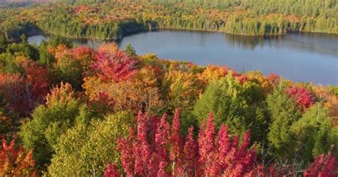 Aerial view of fall foliage and a lake, near Montreal, Canada ...