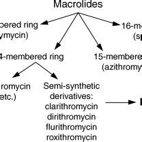 in the lactone ring structure of ketolides and macrolides | Download Scientific Diagram