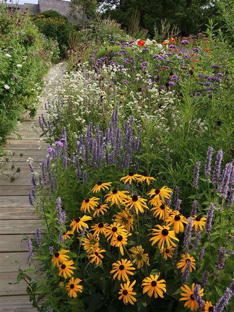 Designing a Stylish Pollinator Garden - Fine Gardening