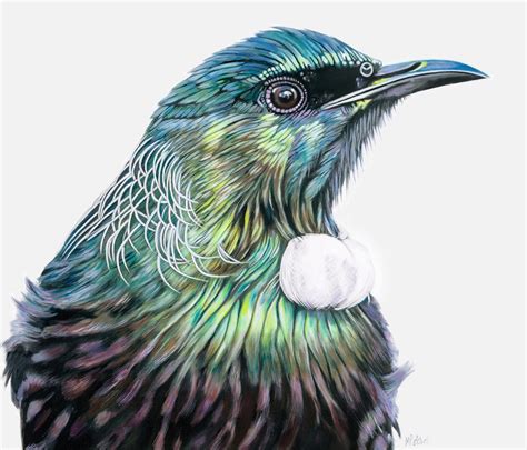 New Zealand Tui Art Print colourful , stylised, patterned feathers – Margaret Petchell Artist