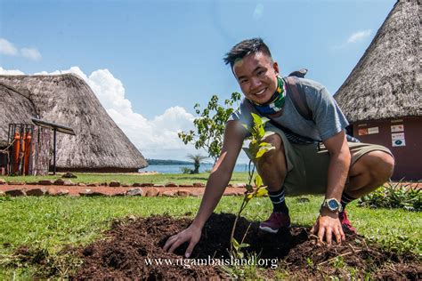 PLANT A TREE - SAVE THE CHIMPANZEE HABITAT - Chimpanzee TrustChimpanzee Trust