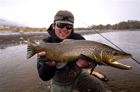 October Fishing Report » Yellowstone Angler