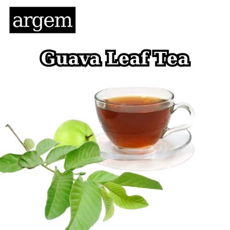 Organic Guava Tea Leaves o Dahon ng Bayabas Herbal Tea Supplement | Lazada PH