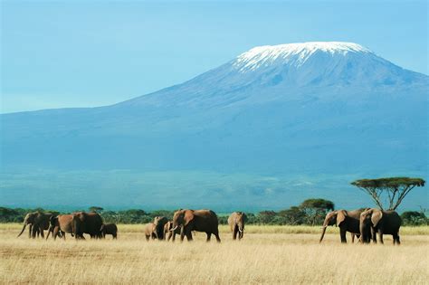 Amboseli-Nationalpark, Kenia | Franks Travelbox