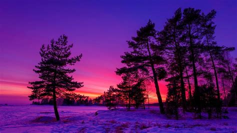 Winter Snow Sunset Wallpaper