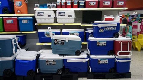 Finding The Best Coolers With Wheels: What You Need To Know | Outdoor ...