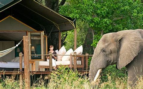 Best Luxury Safari Southern Africa Tours, Trips & Vacations ...