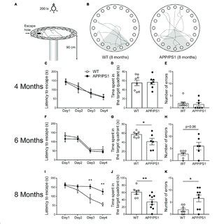 | Barnes maze performance for 4-, 6-, and 8-months-old WT and APP/PS1 ...