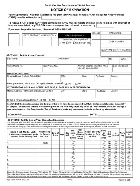 2020-2024 Form SC DSS 3807A Fill Online, Printable, Fillable, Blank ...