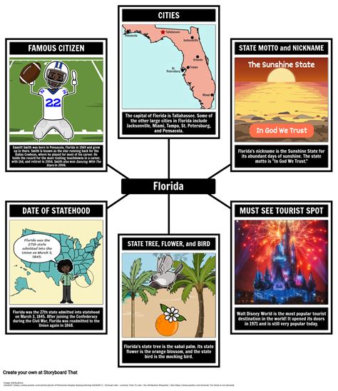 Facts About Florida Spider Map Storyboard by lauren