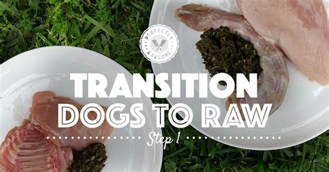 Transition Adult Dogs to Raw Step 1 - Raw Feeding Transition Guide