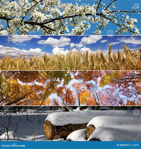 Four seasons stock photo. Image of landscape, nature - 28804012