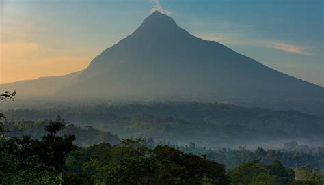 Accident d’avion | Nouvelles | Parc National des Virunga