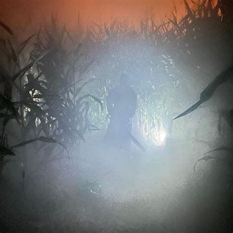 Looking for a Scary Corn Maze? 13 Best Haunted Corn Mazes in the USA