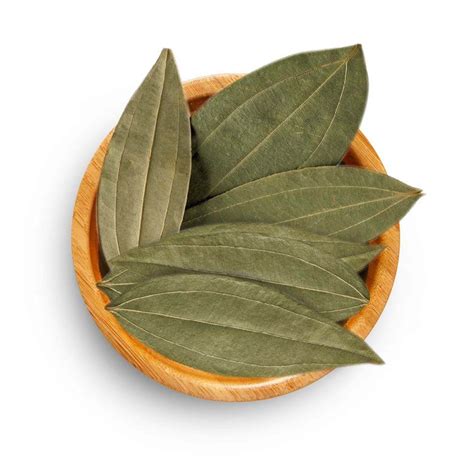 Cinnamon Leaves | Ceylon Cinnamon UK