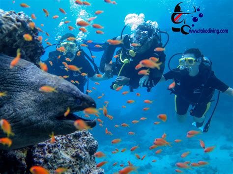 #Tako_Diving_Hurghada