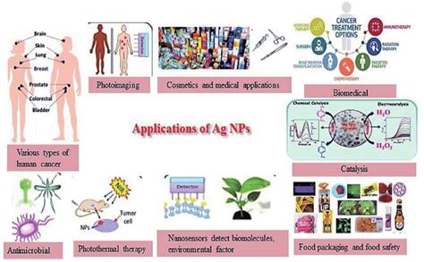 Various applications of silver nanoparticles. | Download Scientific Diagram