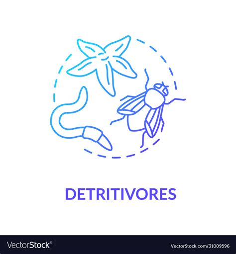 Detritivores concept icon food chain energy Vector Image