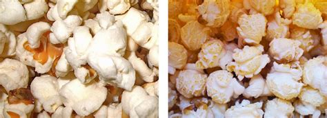 Mushroom Popcorn Kernels | ubicaciondepersonas.cdmx.gob.mx