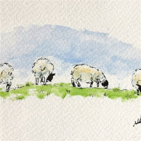 Original Watercolour of Sheep Grazing | Highland Hiddle