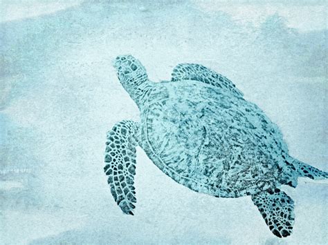 Honu Drawing at GetDrawings | Free download