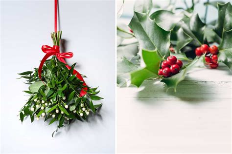 Who’d Win This Christmas Fight: Mistletoe vs Holly?