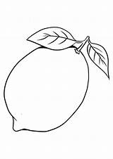Lemon Coloring Pages sketch template