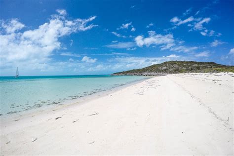 How to visit the Bahamian Rock Iguanas at Iguana Island (Bitter Guana Cay)