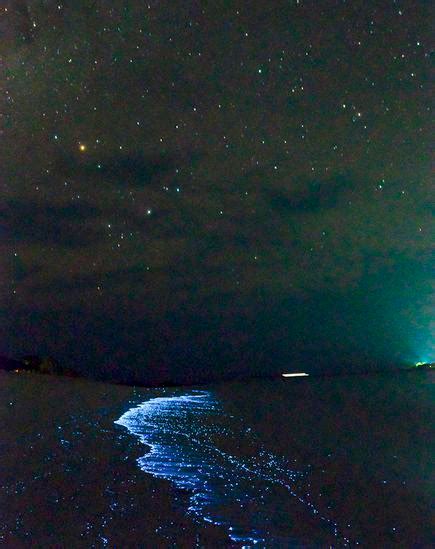 Maldive, le scintillanti onde blu